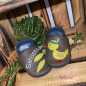 Preview: Name mit Federn und Ente