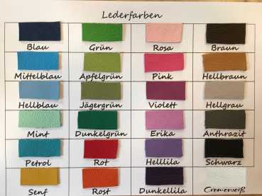 Gotteslobhülle  Kreuz mit großem Lichtkreis und Fische